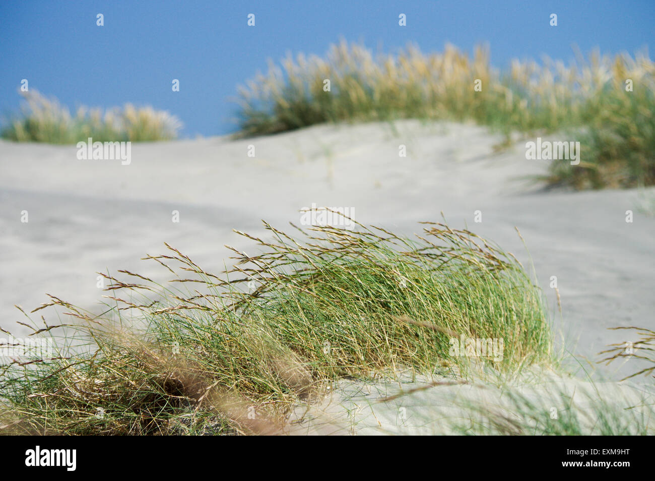 Beside the seaside East Head, West Wittering Stock Photo Alamy