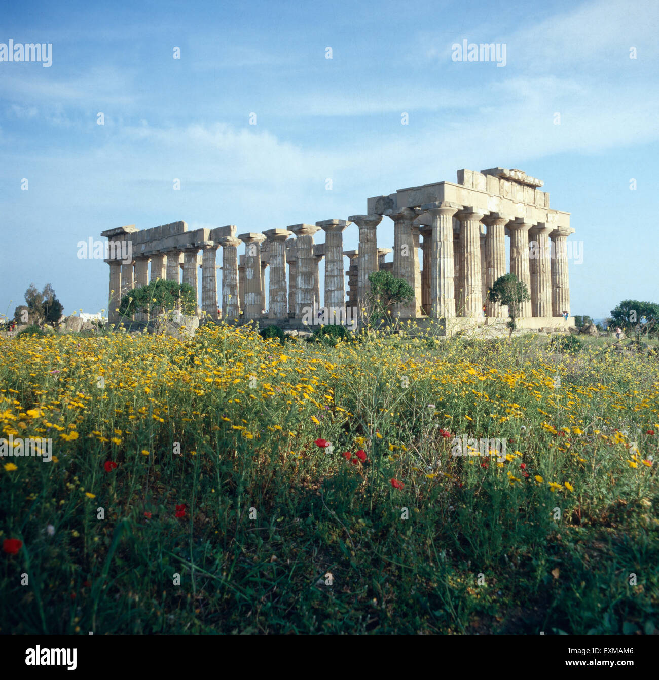 Der Heratempel der archäologischen Fundstätte Selinunt auf Sizilien, Italien 1970er Jahre. The temple of Hera of the archaeological site Selinunt of Sicily, Italy 1970s. Stock Photo