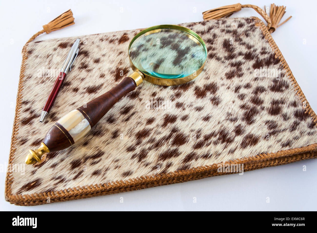 Magnifying Glass And Ballpoint Pen On Leather Folder Stock Photo - Alamy