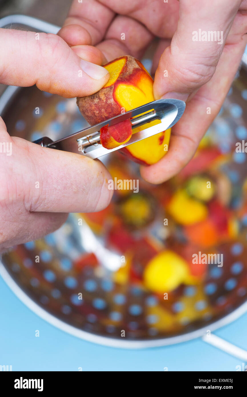 Peeling Beetroot 'Burpees Golden' vegetables into a colander Stock Photo
