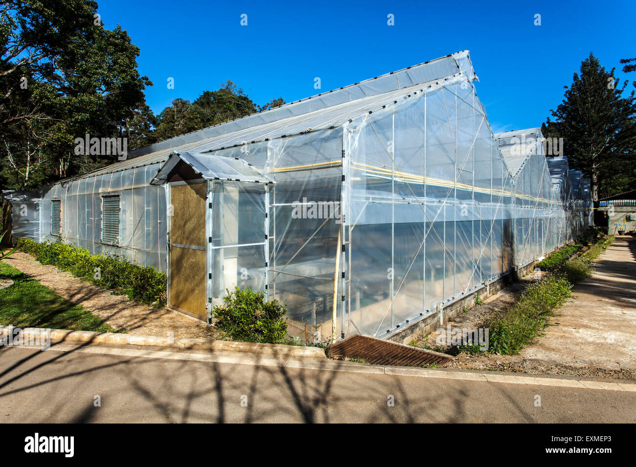 Plastic covered horticulture greenhouse plantations Stock Photo