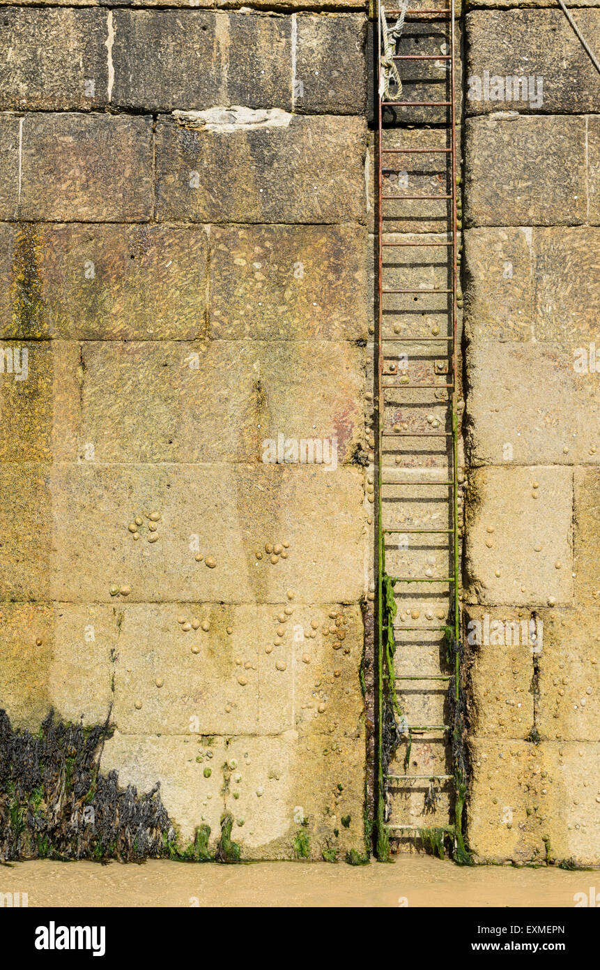 Al ladder at Smeatons Pier, St Ives, Cornwall, England, UK at low tide. Stock Photo