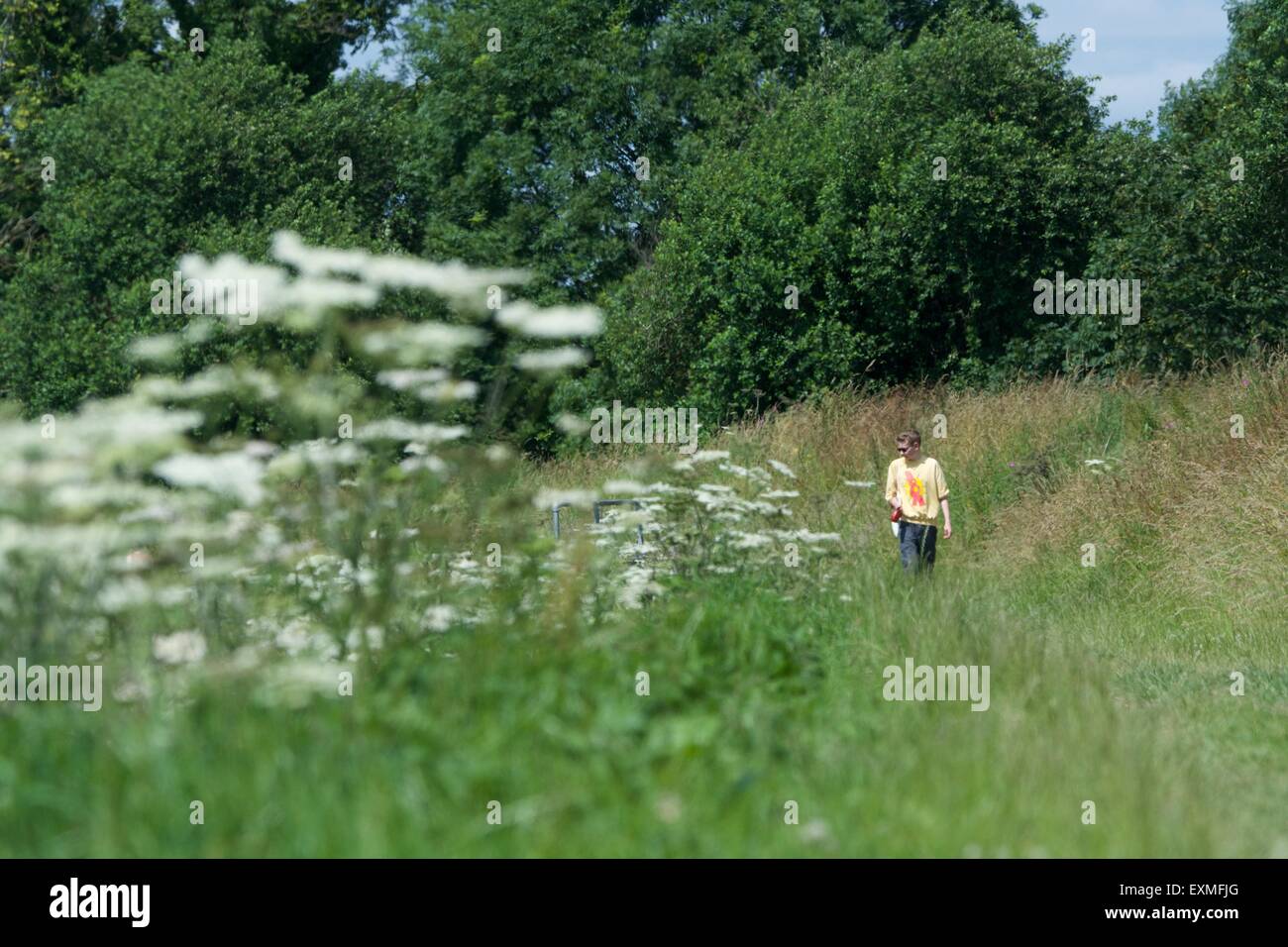 A man walks along a path along the bank of the the River Mersey as it passes between Didsbury and Northenden in south Manchester. Stock Photo