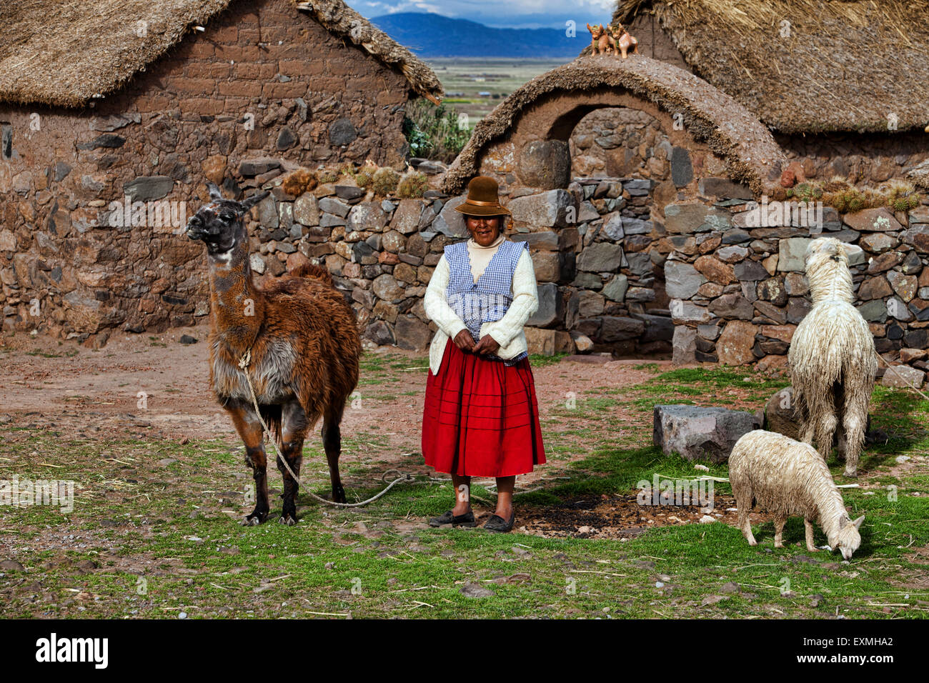 Andean farm woman standing outside of a mud farm house with a group of Lamas in the high desert of Peru outside of Cuzco, South Stock Photo