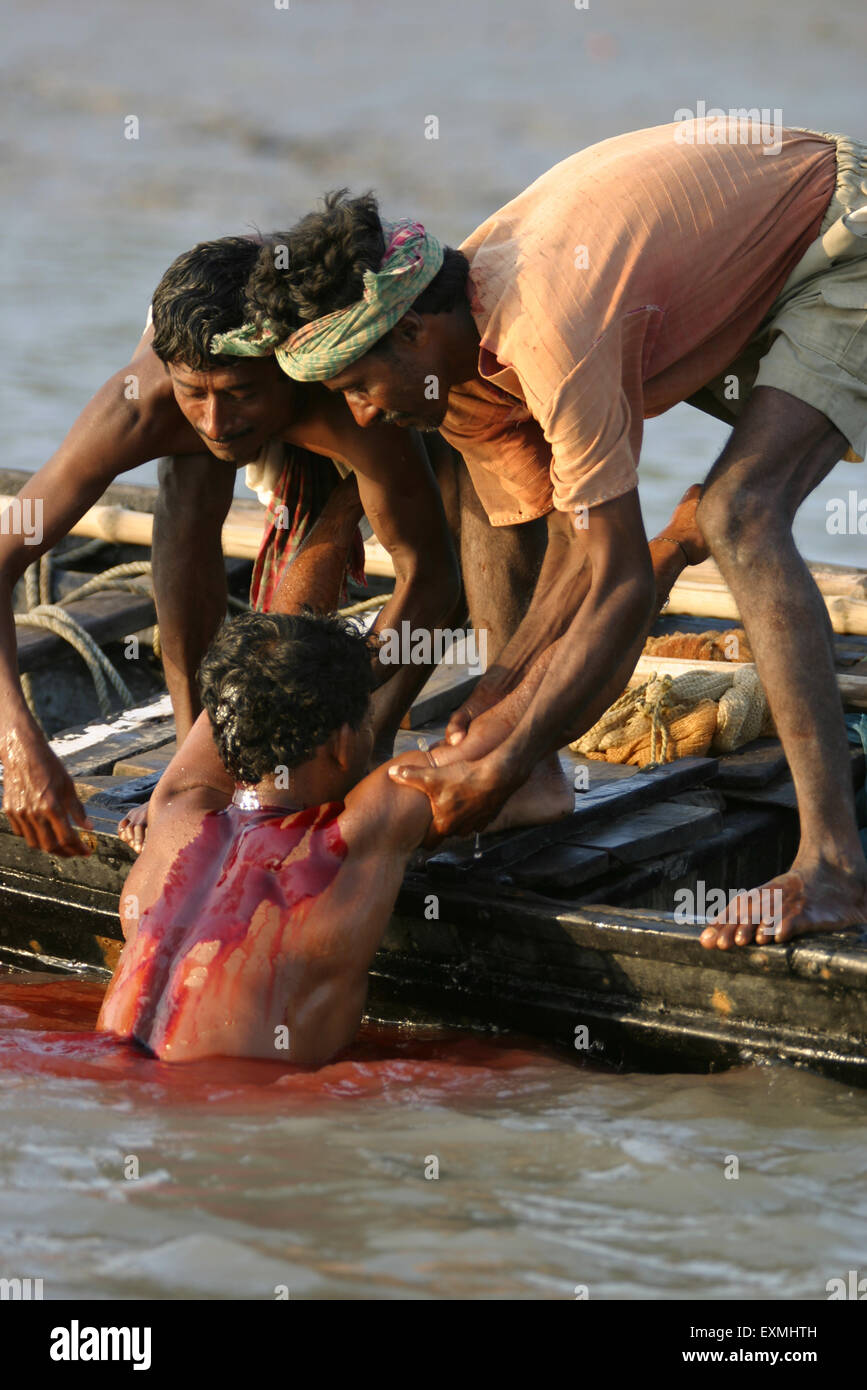 Fishermen helping wounded man ; Sundarban National Park ; Sundarbans ; Calcutta ; Kolkata ; West Bengal ; India ; Asia Stock Photo
