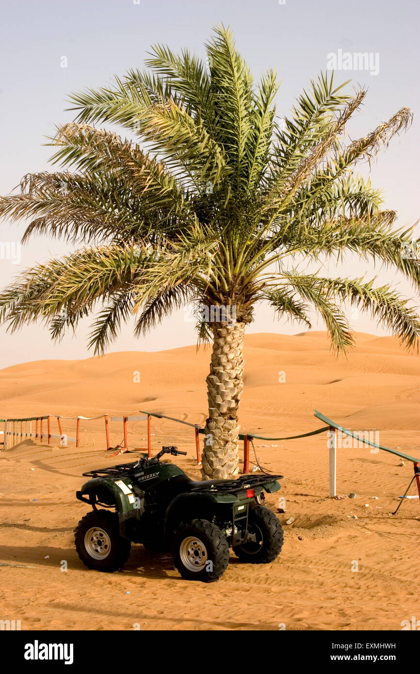 Four wheel drive buggy below palm tree ; Desert Safari ; Dubai ; United