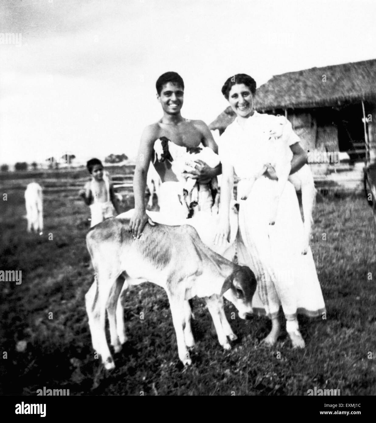 Hanna Lazar with calf, Dr. Hermann Kallenbach niece, Sevagram Ashram, Sewagram, Wardha, Nagpur, Maharashtra, 1940, India, Asia, old vintage 1900s picture Stock Photo