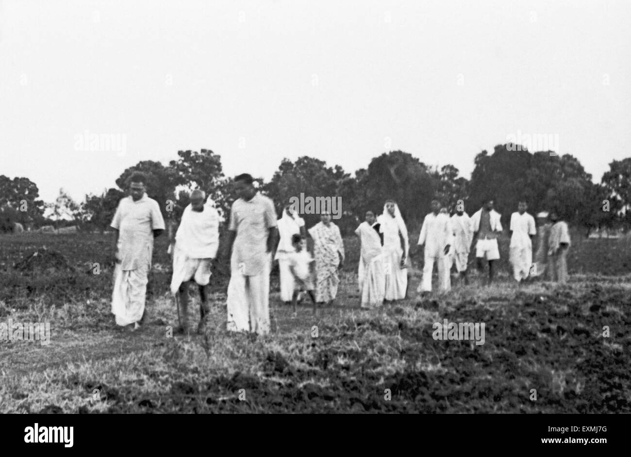Mahatma Gandhi ; Kamalnayan and Ramkrishna Bajaj (both sons of Jamnalal Bajaj) and others walking through fields ; 1942 NO MR Stock Photo