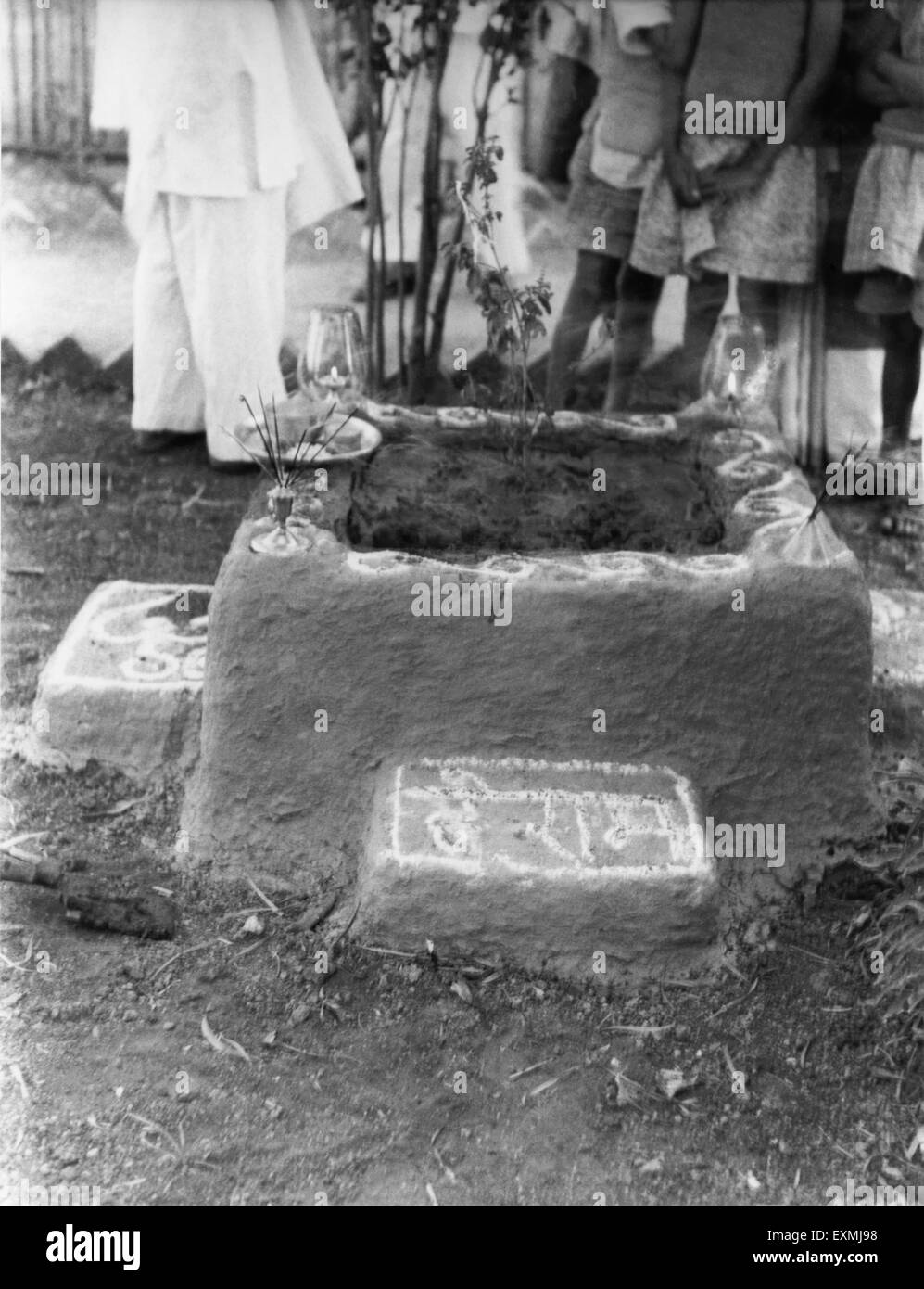 A newly planted tulsi tree at Sevagram Ashram ; 1944 NO MR Stock Photo