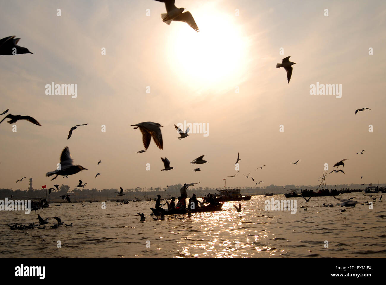 Devotees sit in boat arriving at confluence of Ganges; Yamuna and Saraswati rivers to take holy dip Ardh Kumbh Mela Allahabad Stock Photo