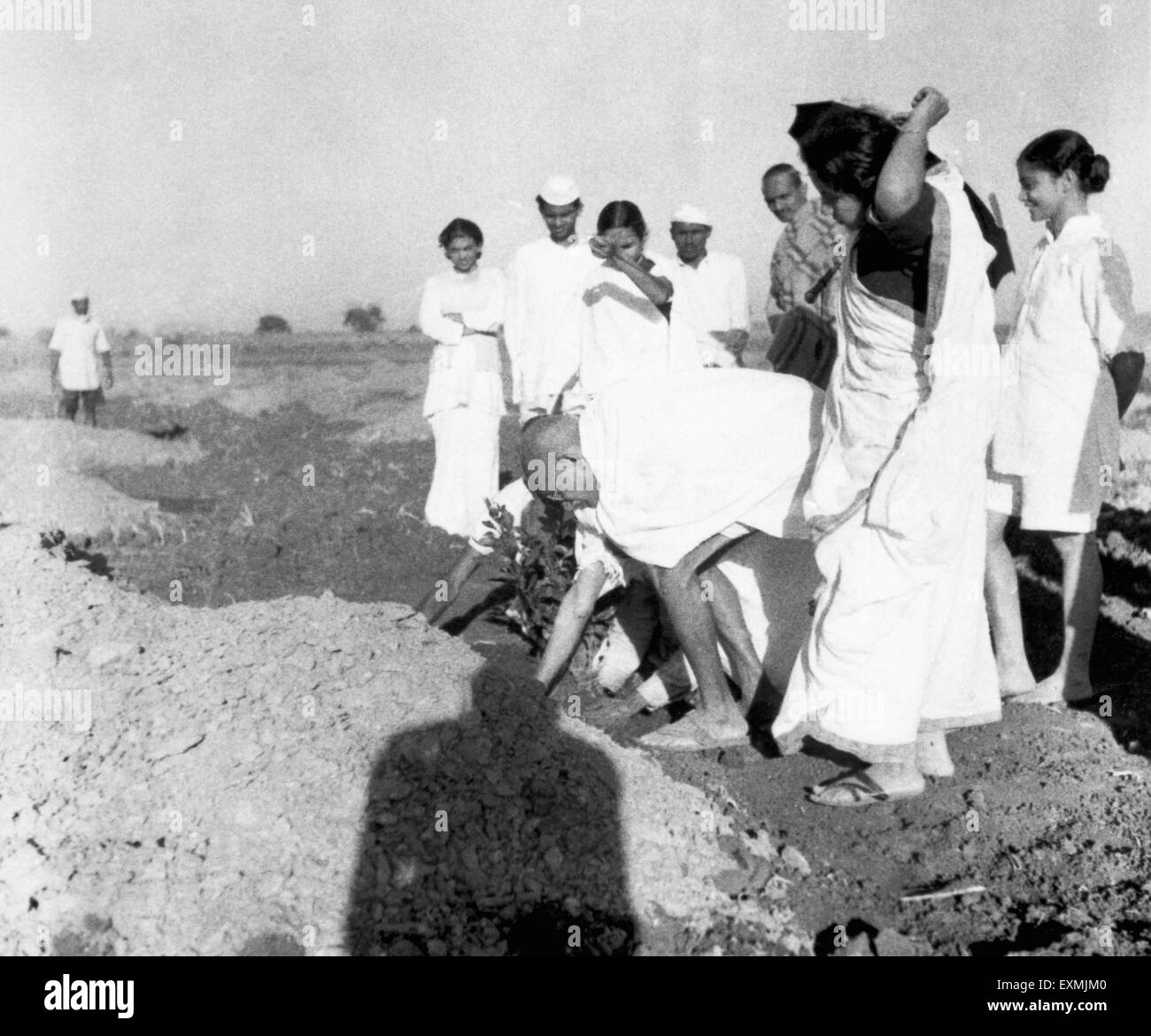Mahatma Gandhi surrounded by associates planting a tree near Sevagram Ashram Wardha India 1941 right Abha Gandhi Stock Photo