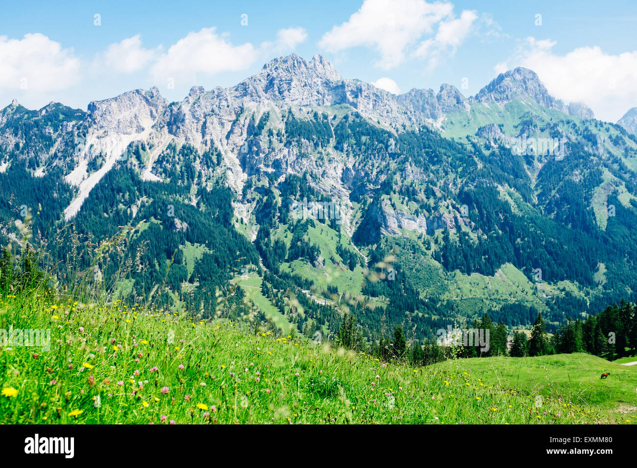 Mountain range in Tannheimer tal, Tirol, Austria Stock Photo