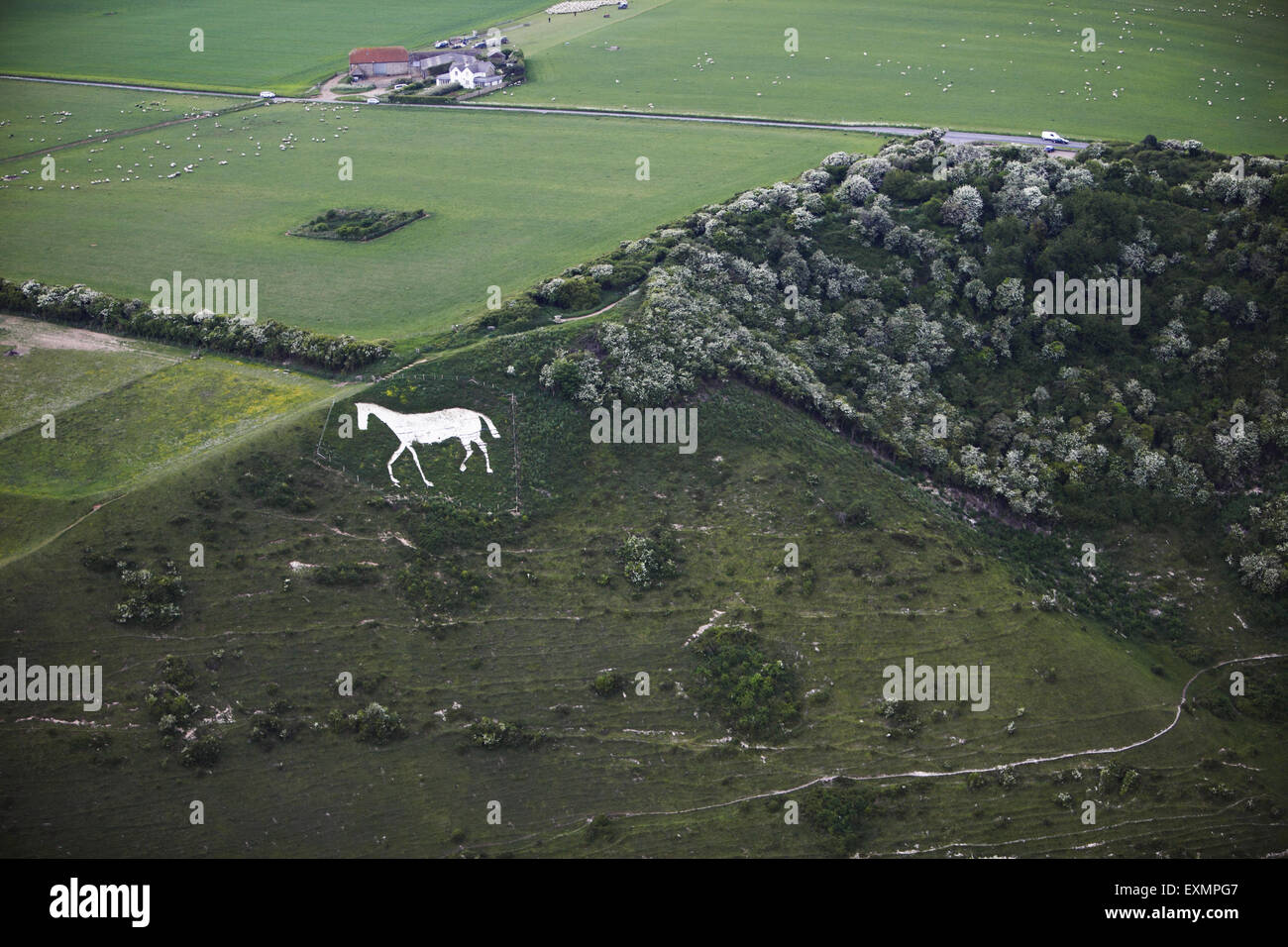 Aerial photograph from a microlight, of the chalk figure 'White Horse