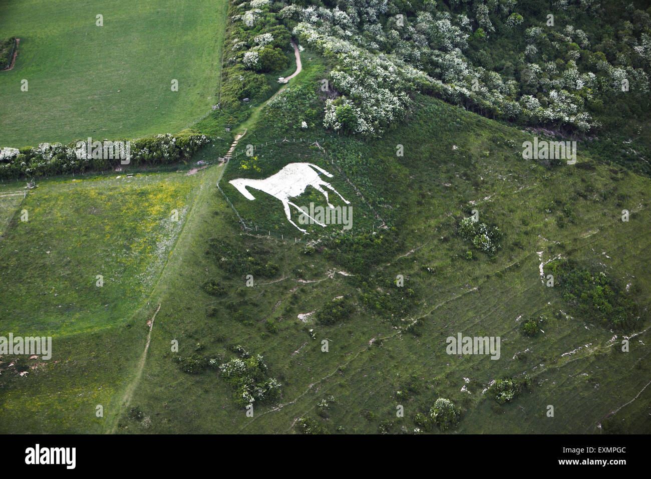 Aerial photograph from a microlight, of the chalk figure 'White Horse