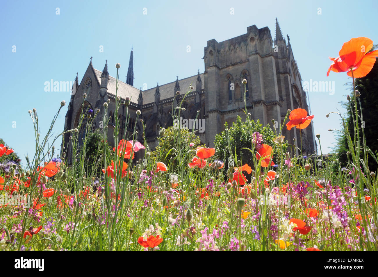11/07/2015 Wild flowers and the Fitzalan Chapel at Arundel Castle Arundel Castle, West Sussex was founded at the end of the 11th Stock Photo