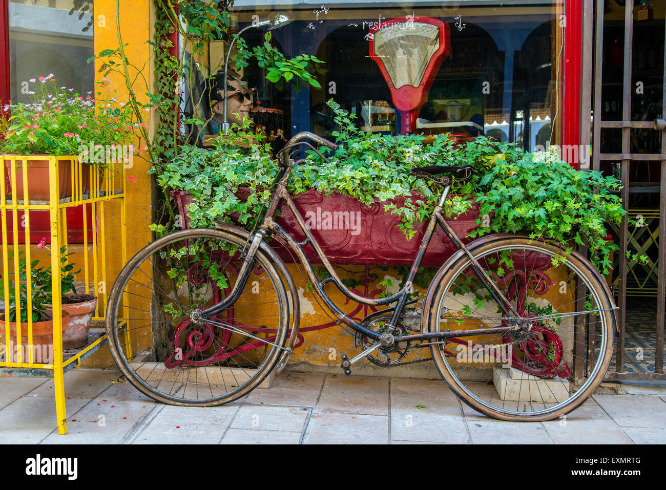 Old bicycle parked adorned with ivy and flowers, Saint-Remy-de-Provence, Provence, France Stock Photo