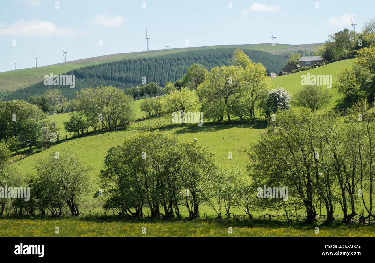Carno wales village hires stock photography and images Alamy