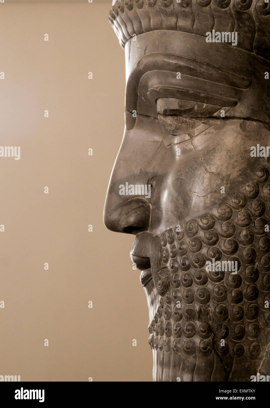 Profile Of An Ancient Persian Statue In The National Museum, Shemiranat