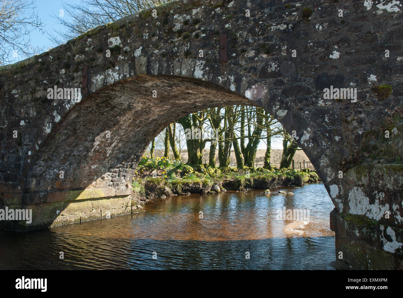 Three Bridges, Devon, England. Ancient bridge over stream with