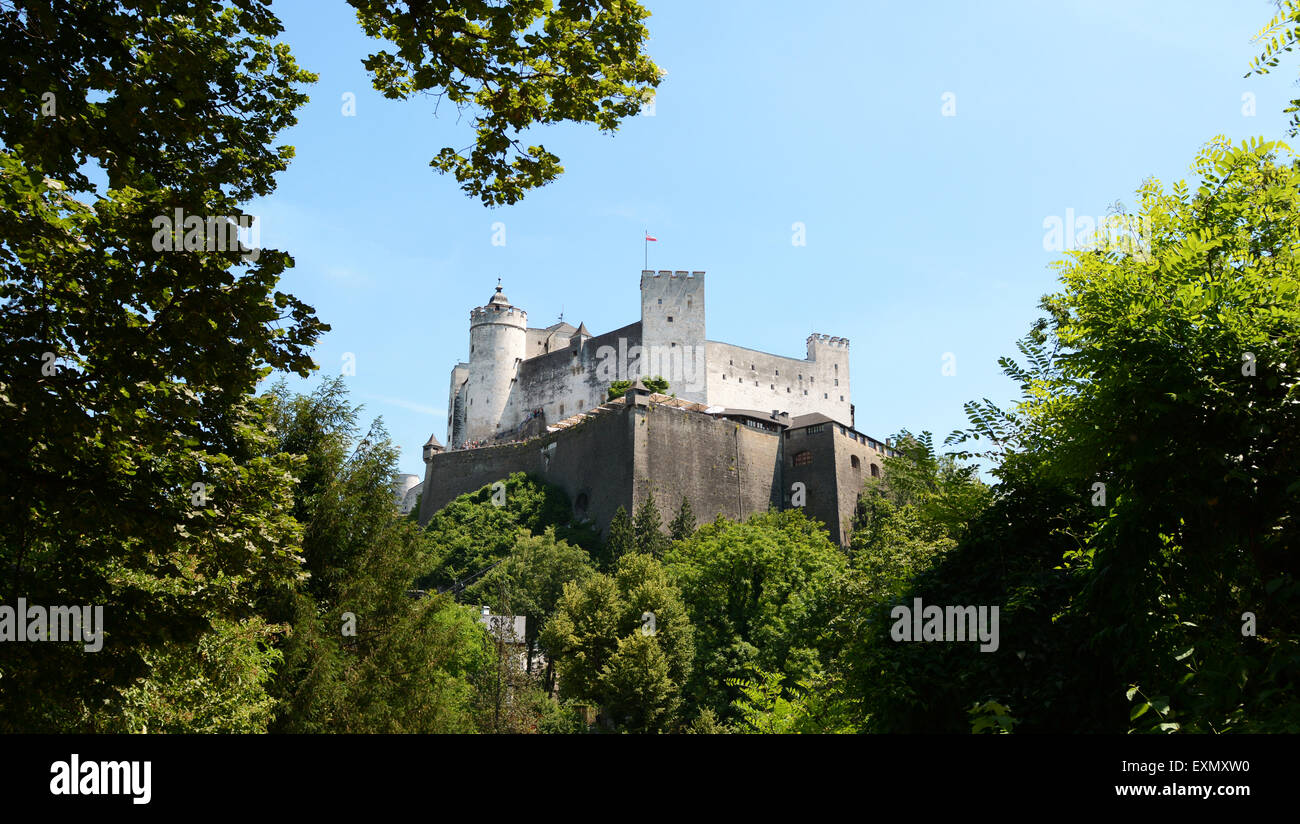 View of the Festung Hohensalzburg framed by lush green trees on summer day in Salzburg, Austria, Europe Stock Photo