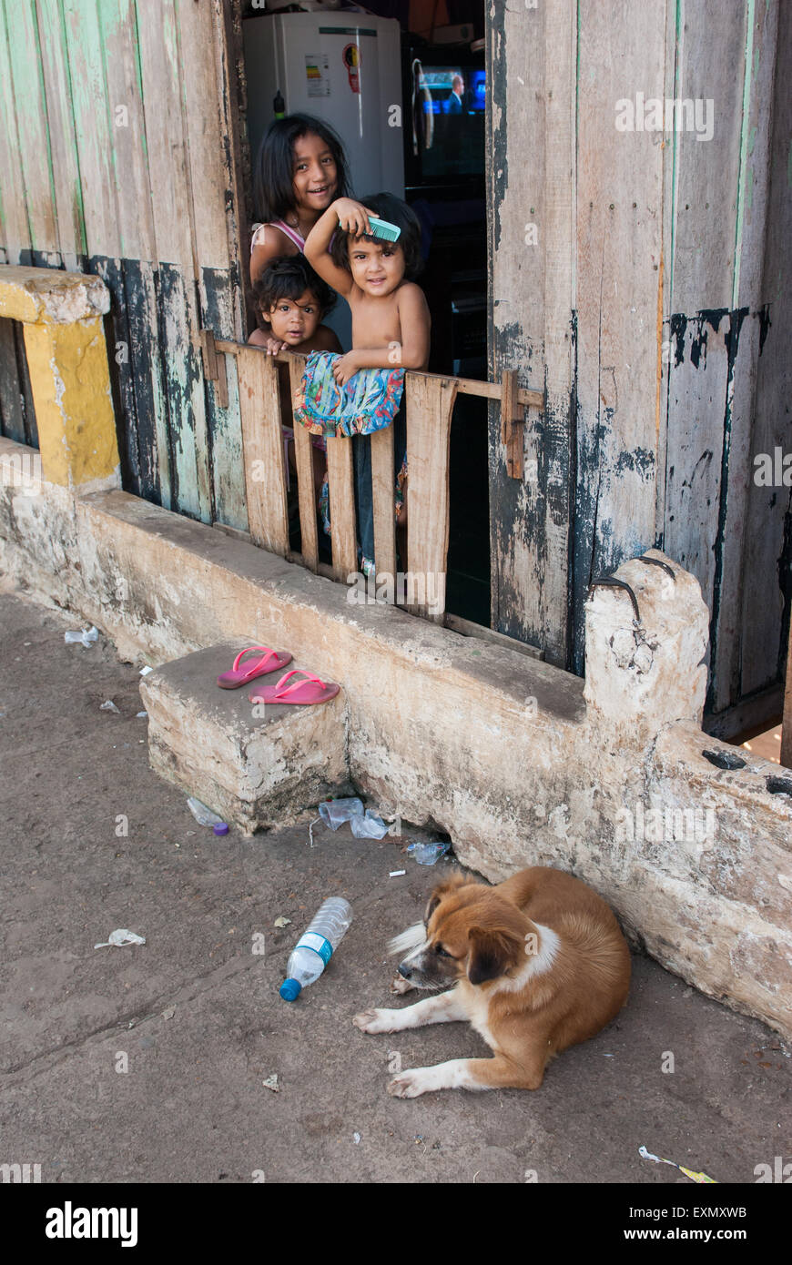 Altamira port, Para State, Brazil. Poor home with children and dog. Stock Photo