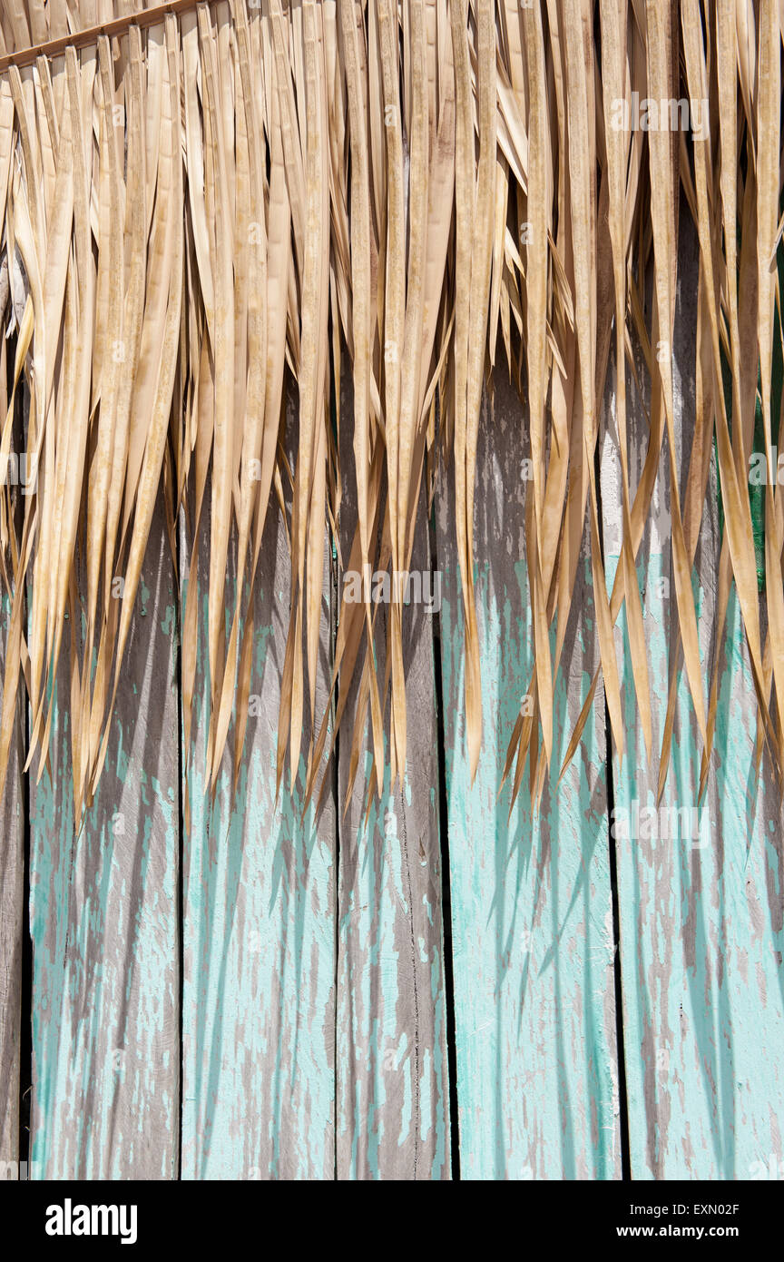 Xingu River, Para State, Brazil. The Volta Grande; Aldeia Terra Wangã da Volta Grande - Maia, Arara ethnic group. Stock Photo