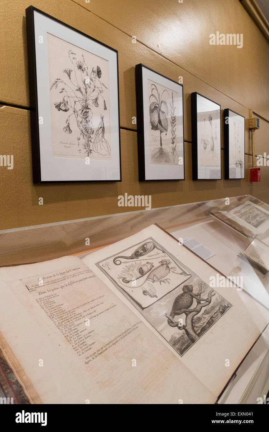 Firestone building hires stock photography and images Alamy