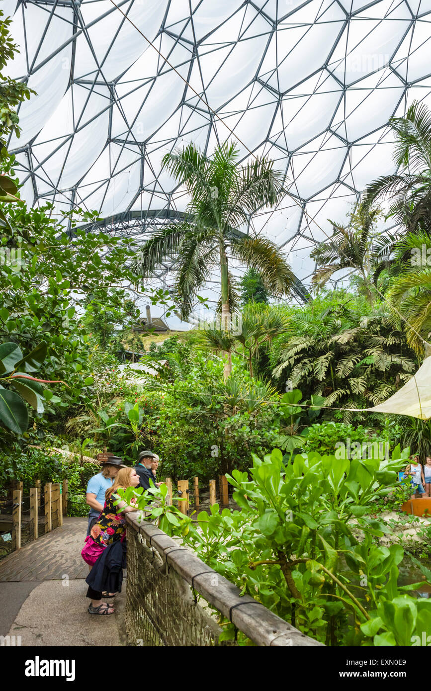 Interior of Rainforest Biome at the Eden Project, Bodelva, near St Austell, Cornwall, England, UK Stock Photo
