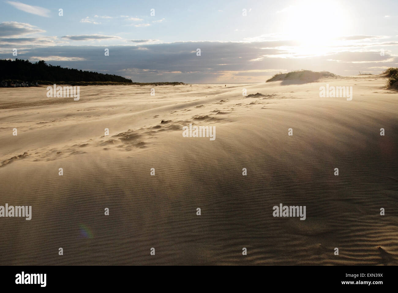 Sand dunes on Holkham Beach in Holkham Bay in Norfolk, England, UK Stock Photo