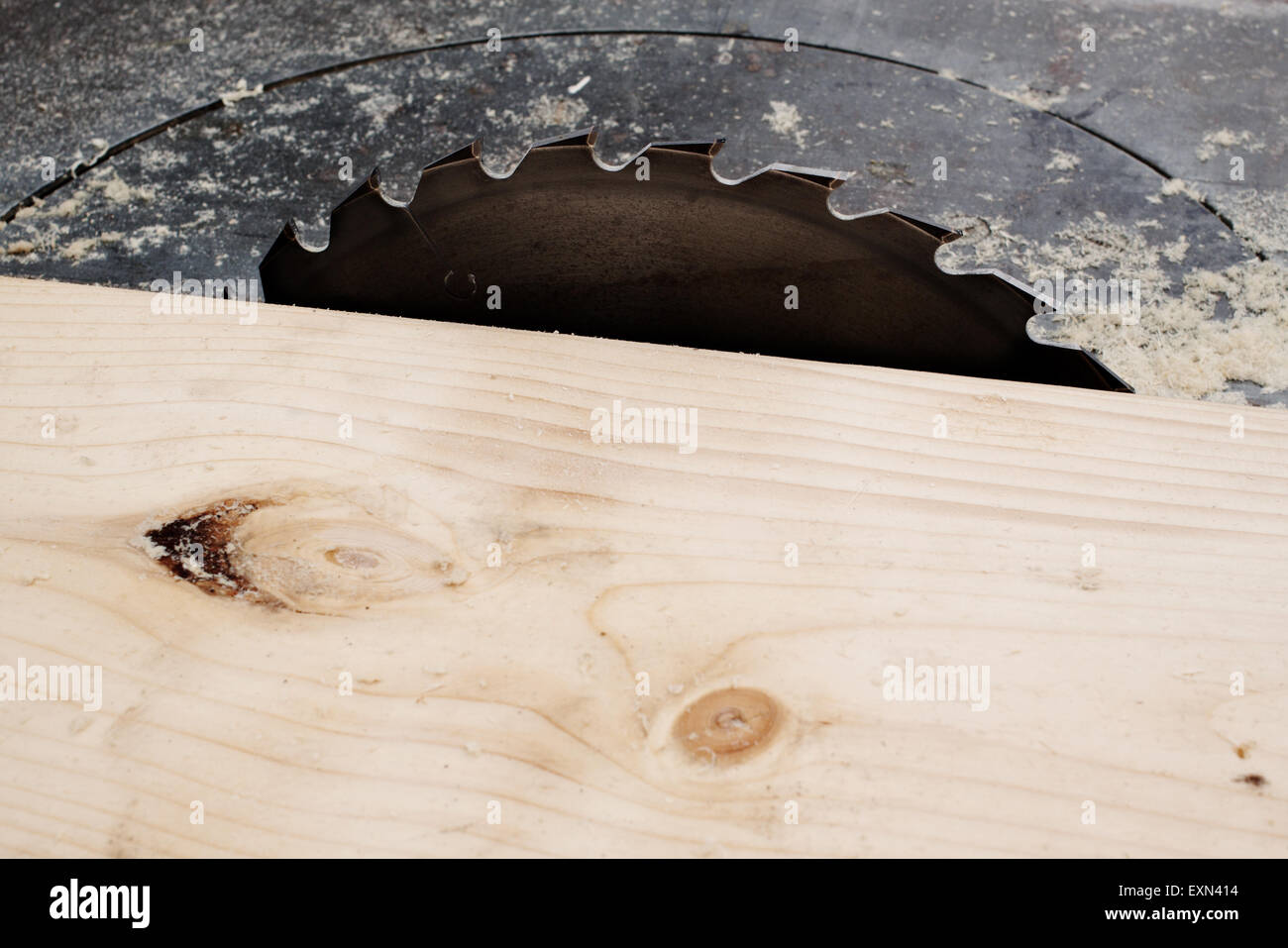 Electric circular saw close up for wood cutting Stock Photo Alamy