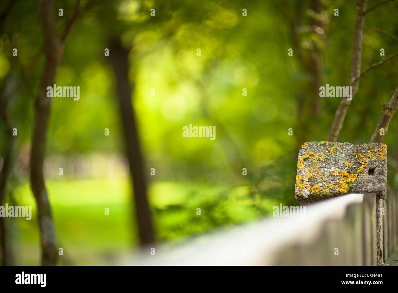 Stone fence and blurred forest background Stock Photo - Alamy