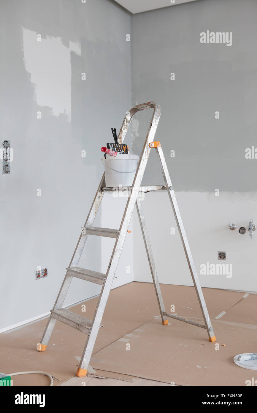 Paint bucket and roll on ladder Stock Photo Alamy