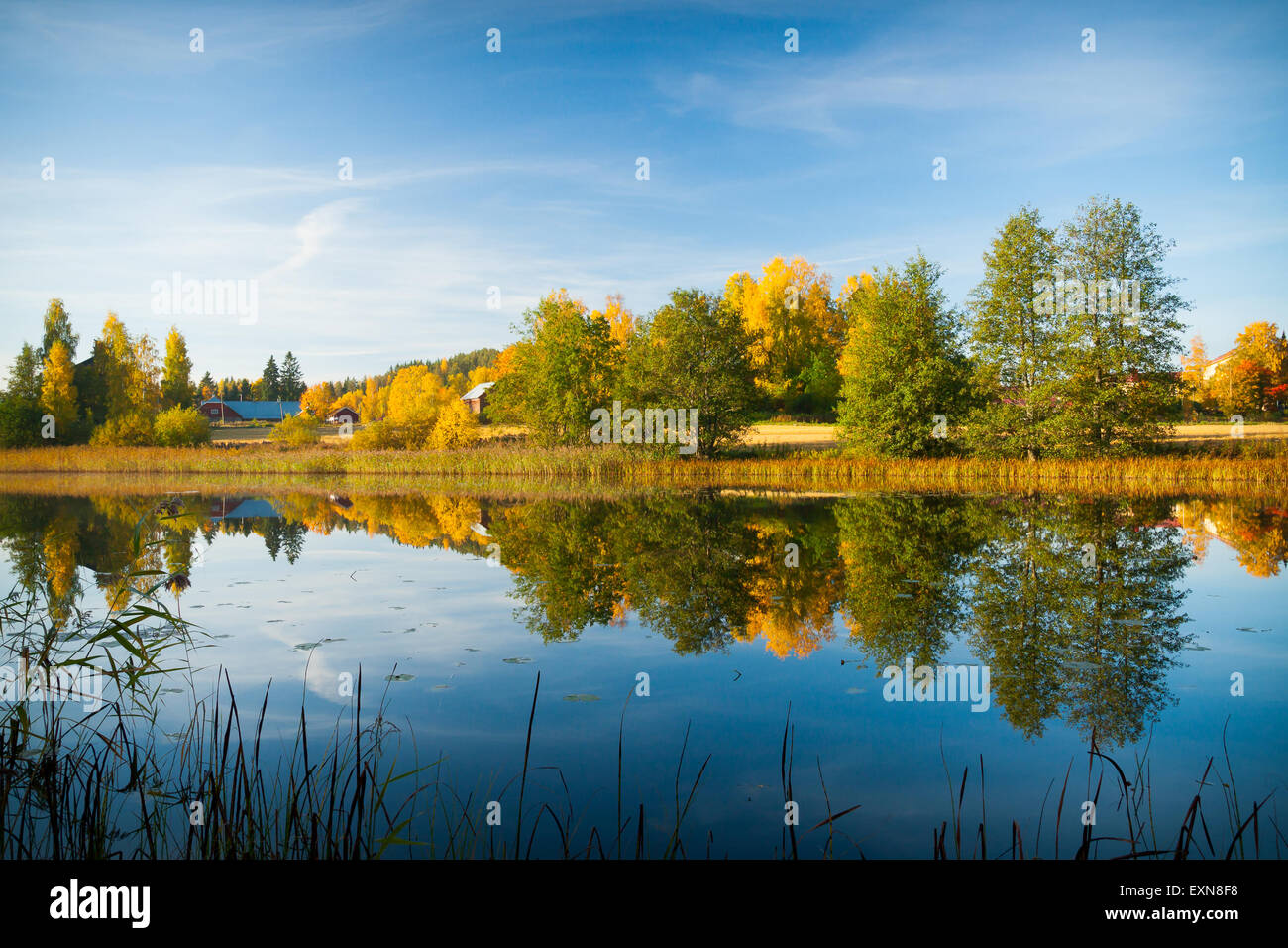 Calm water autumn nature reflection Stock Photo - Alamy