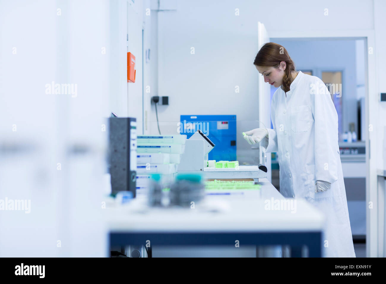 Laboratory assistant working in clinical laboratory Stock Photo Alamy