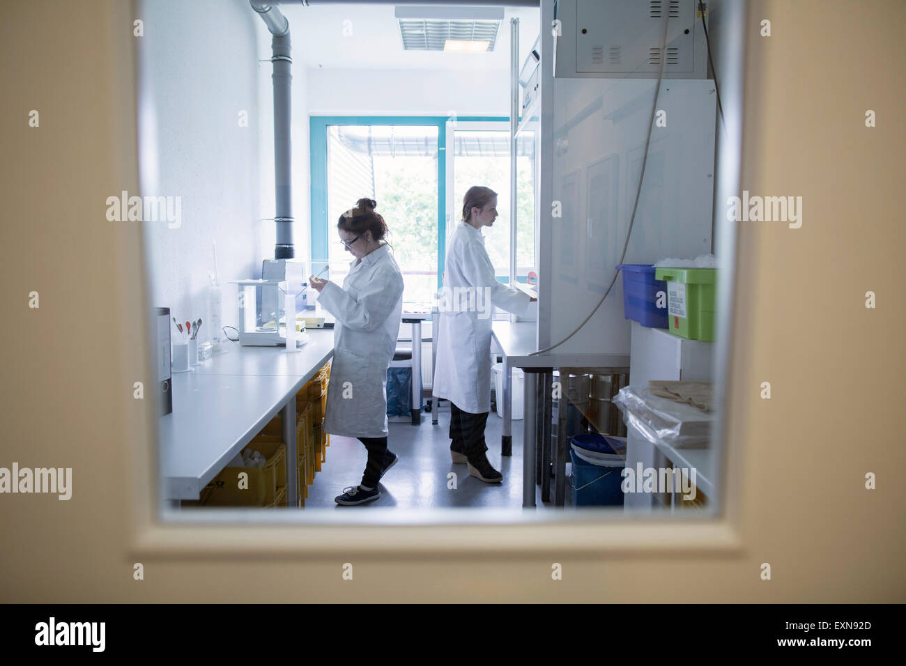 Laboratory assistants working in clinical laboratory Stock Photo Alamy
