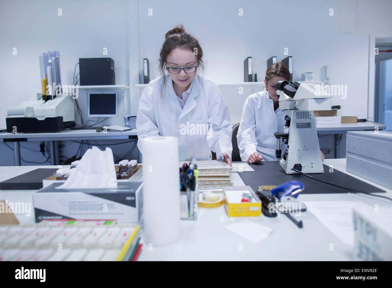 Labratory assistants working at medical laboratory Stock Photo Alamy