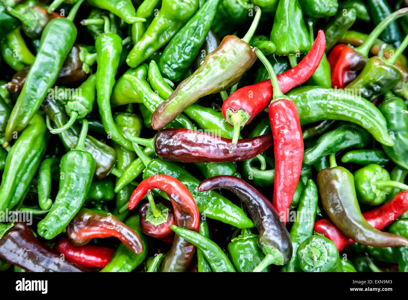 New Mexico Chili Peppers Stock Photos & New Mexico Chili ...