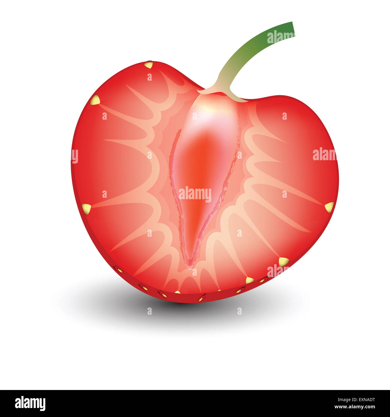 Plant strawberry slice hi-res stock photography and images - Alamy
