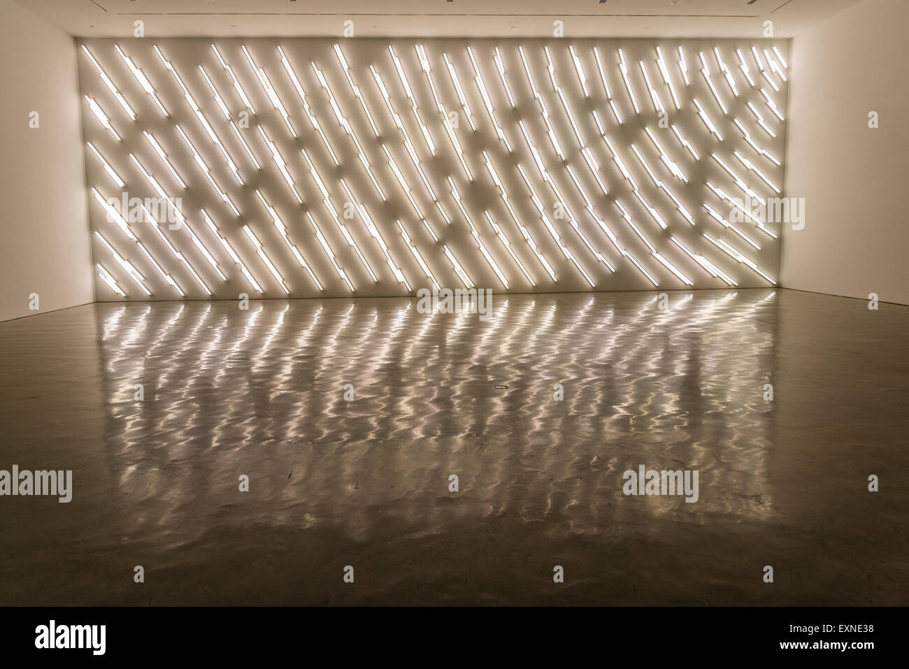 Museum of Contemporary Art, 'Luminous' exhibition, Light installation