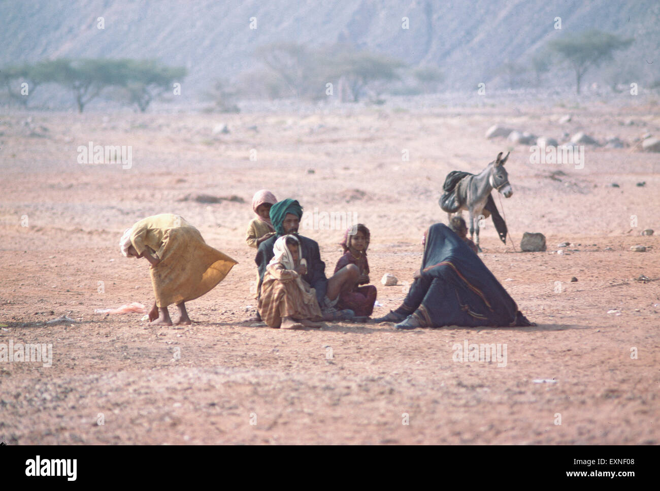 Bedouin nomads hires stock photography and images Alamy