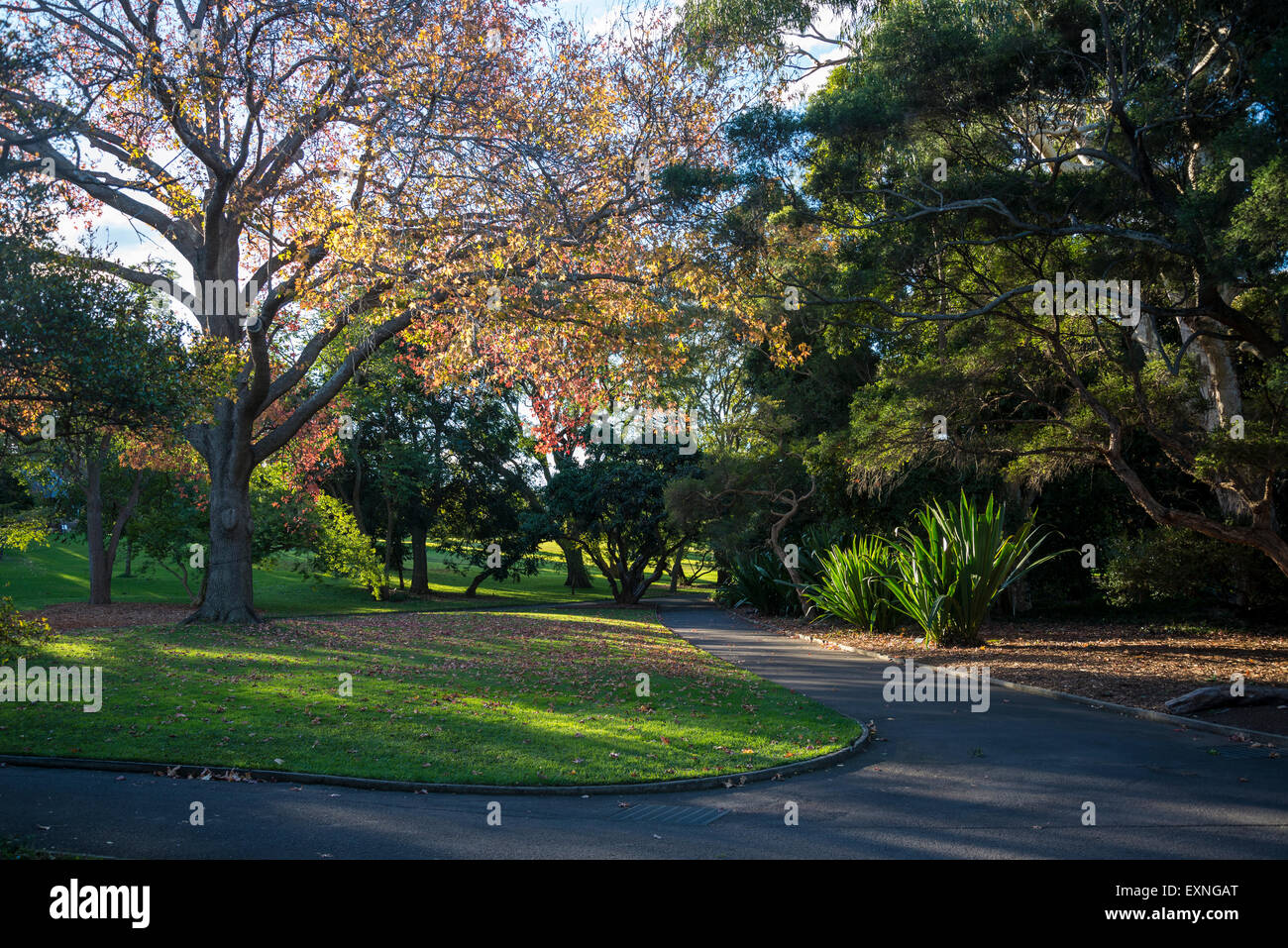 Royal Botanic Gardens, Sydney, Australia Stock Photo
