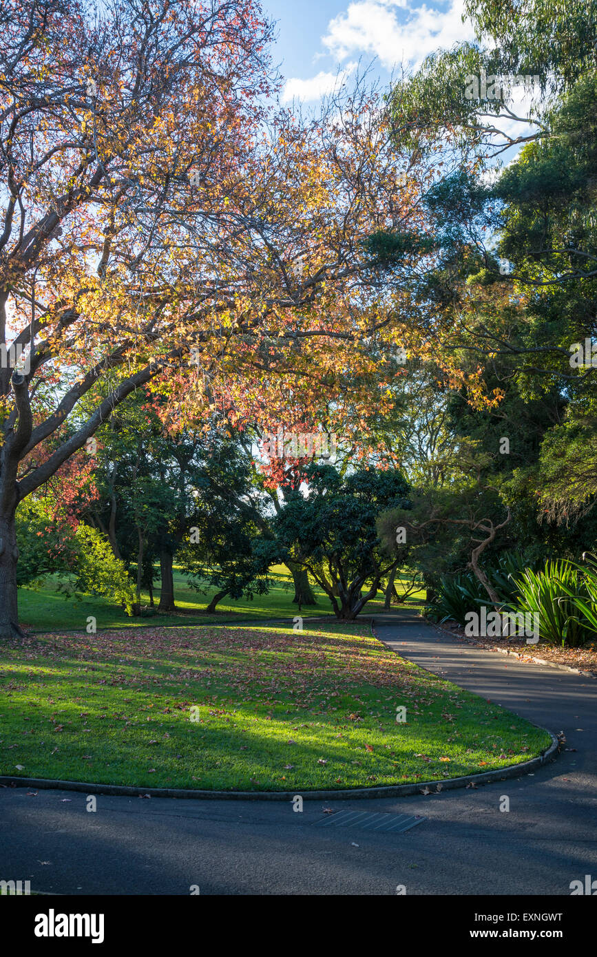 Royal Botanic Gardens, Sydney, Australia Stock Photo