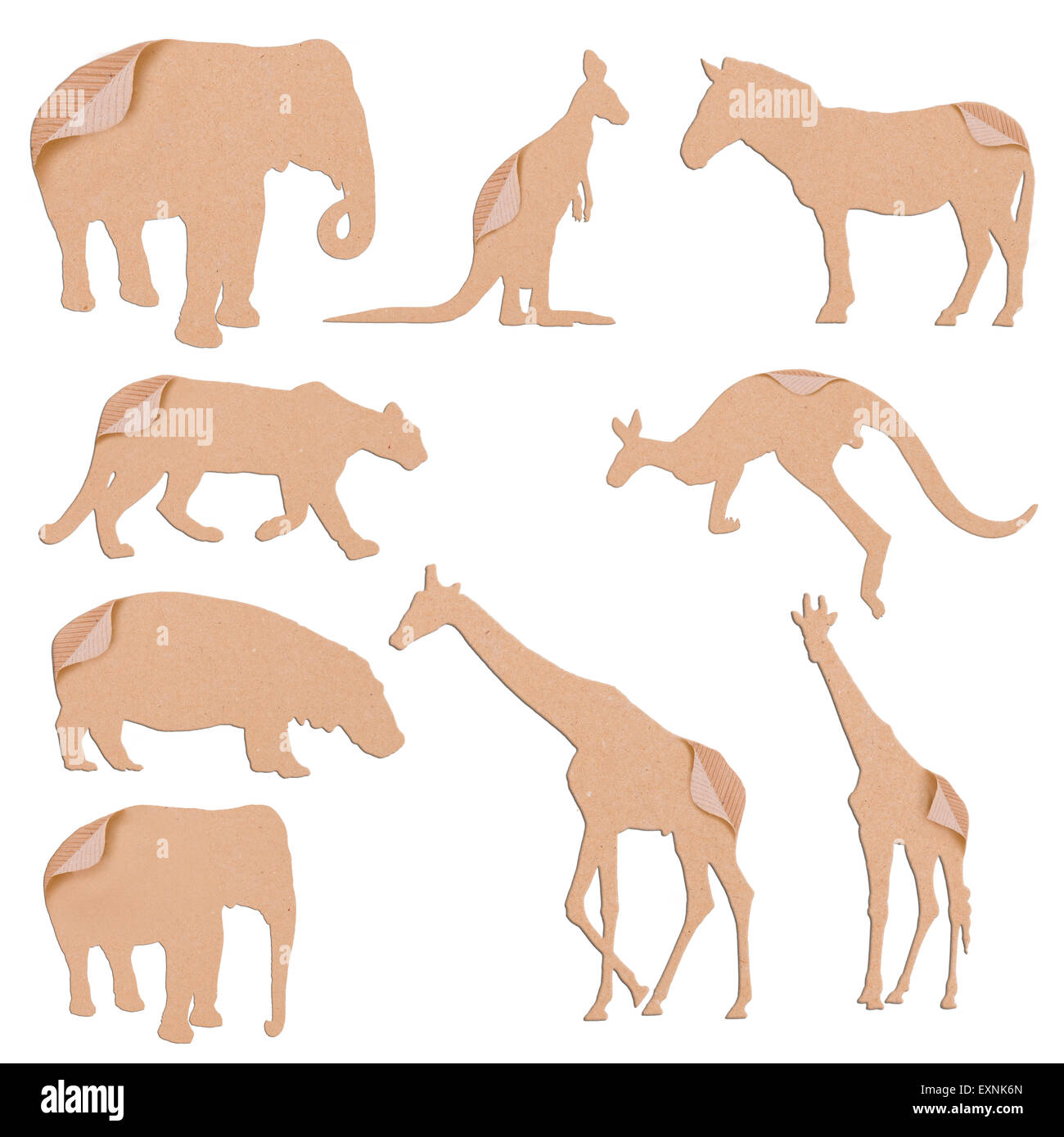 Art craft cardboard animal hi-res stock photography and images - Alamy Art craft cardboard animal hi-res stock photography and images - Alamy