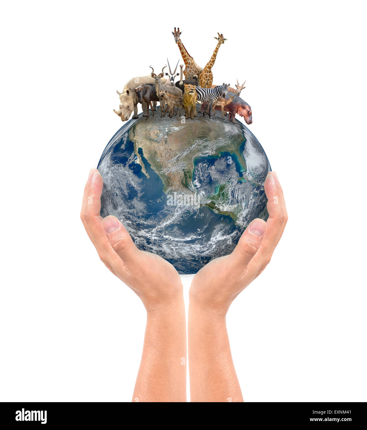 hand hold animal on the earth, Element of this image are furnished by NASA Stock Photo