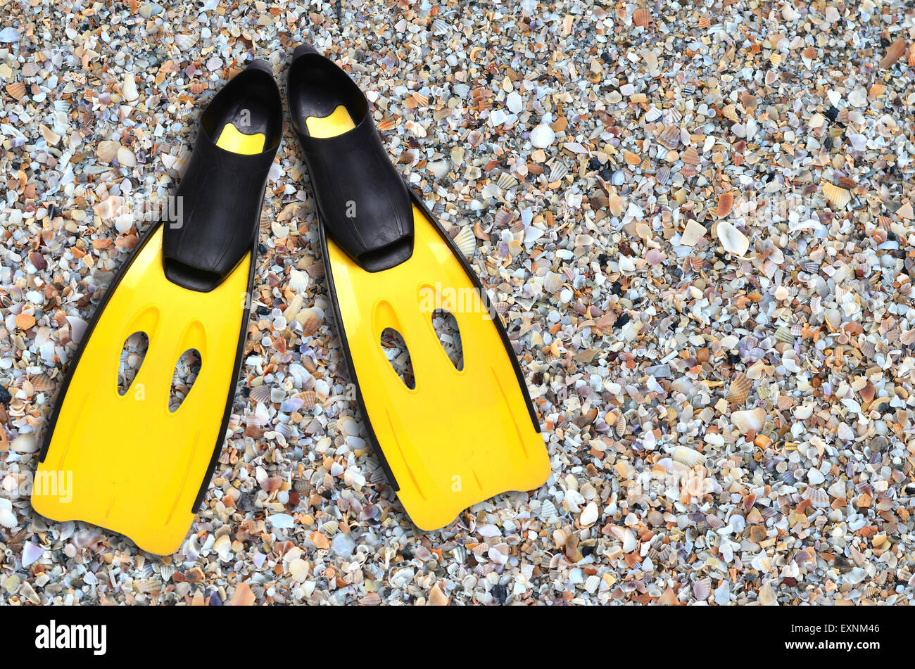 yellow fins on sand beach Stock Photo