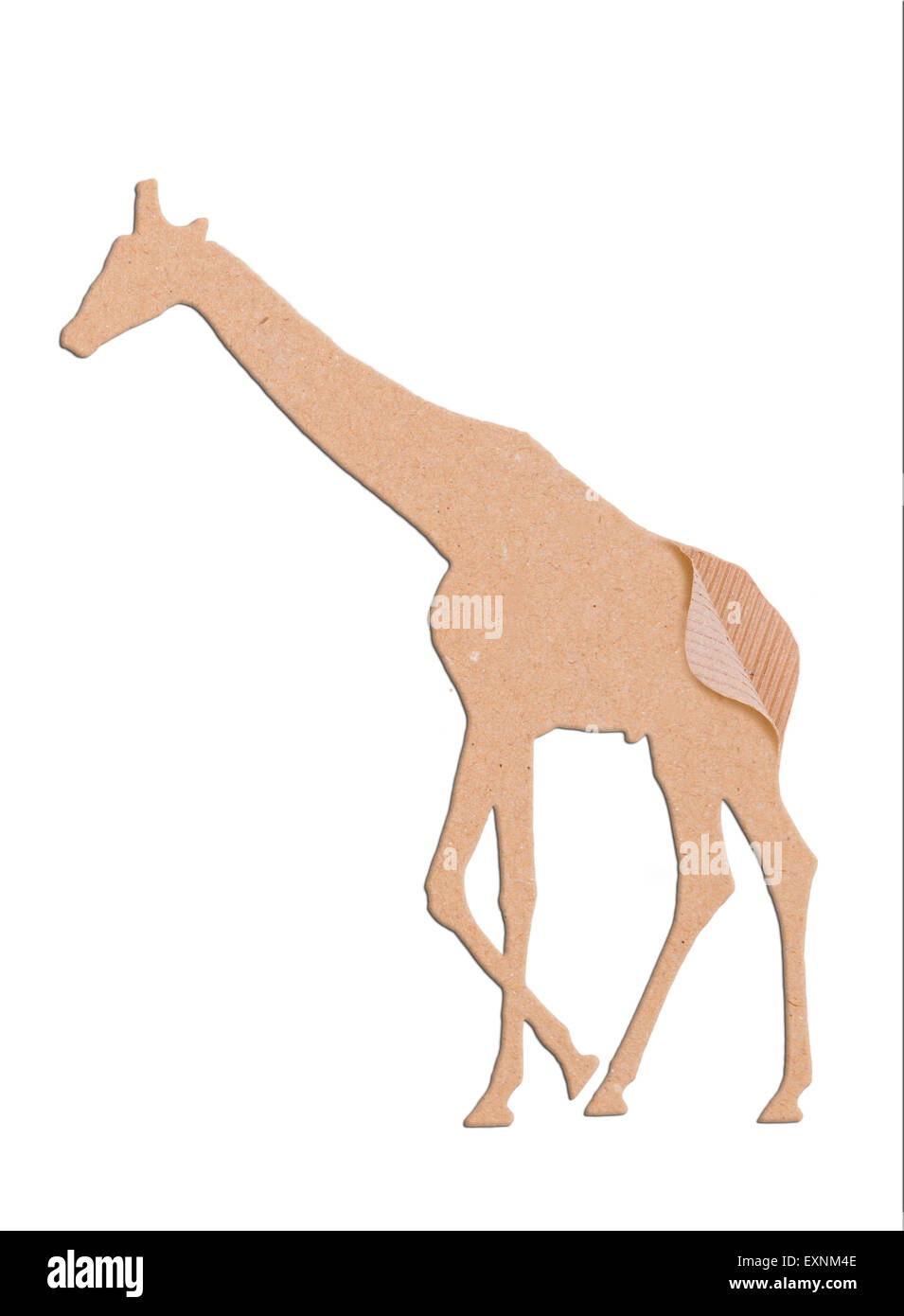 giraffe shape paper box on white background Stock Photo