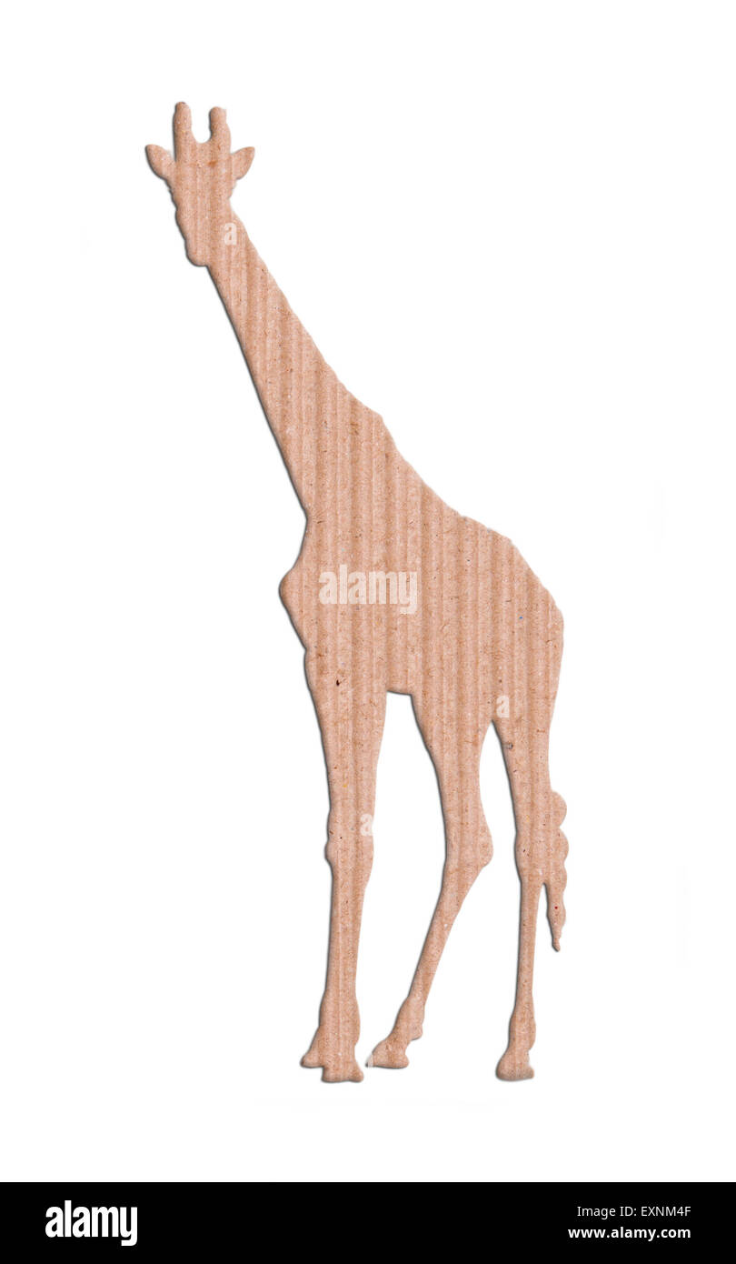 giraffe shape paper box on white background Stock Photo