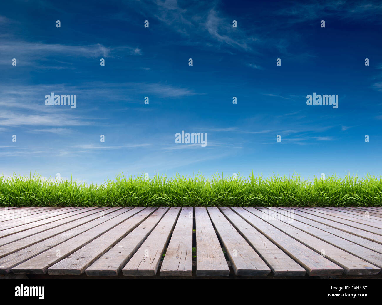 wooden terrace with fresh spring green grass and blue sky Stock Photo