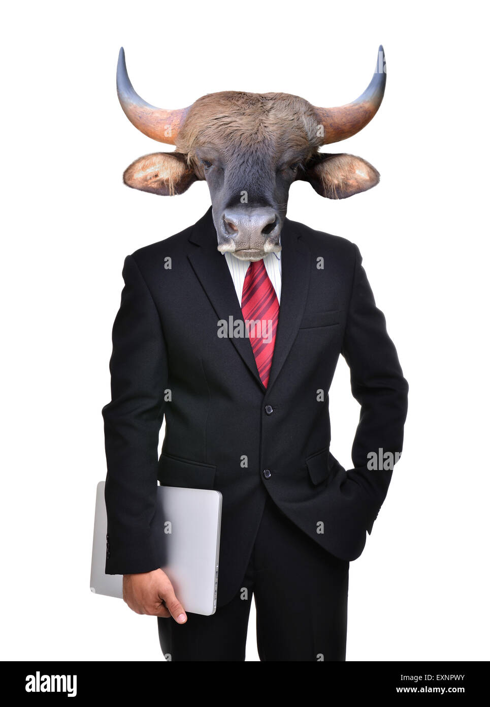 business man with bull head isolated on white background Stock Photo