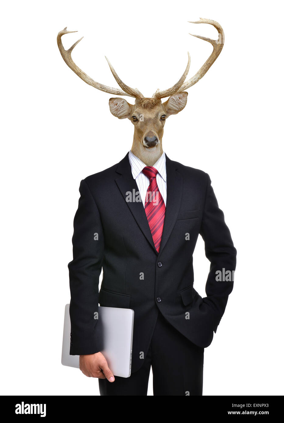 business man with deer head isolated on white background Stock Photo